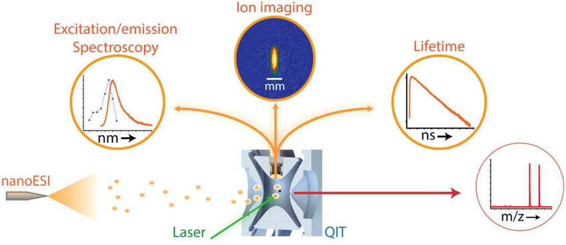 Enlarged view: Modified QIT for fluorescence spectroscopic studies in the gas-phase.